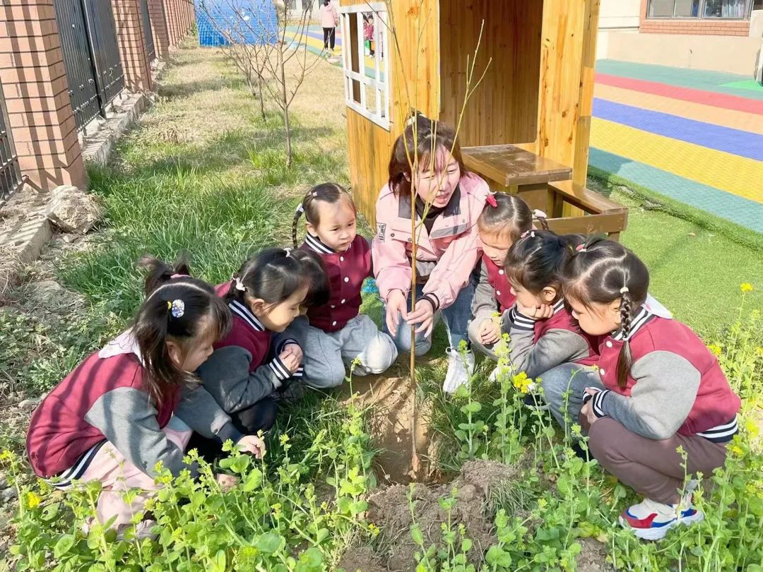 不負(fù)春光，“植”得期待|培文幼兒園植樹節(jié)活動