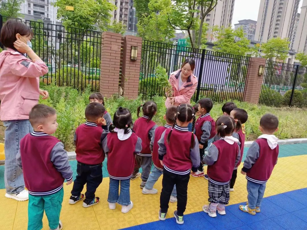 食”光美味，“育”見美好——培文幼兒園第三期食育課程